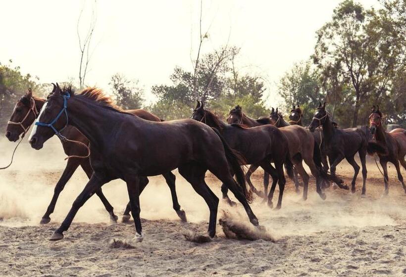 ホテル Amritara Olive Trotter, Nangal
