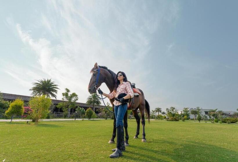 ホテル Amritara Olive Trotter, Nangal