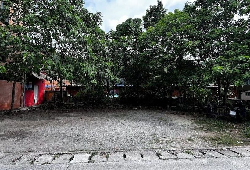 Hotel Coco Mountain View Guest House