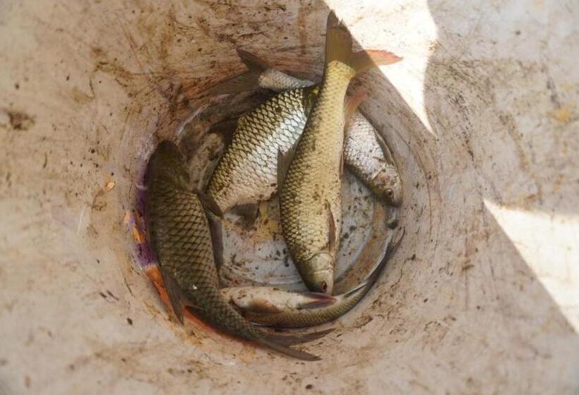 ホテル Jupiter Eco Resort