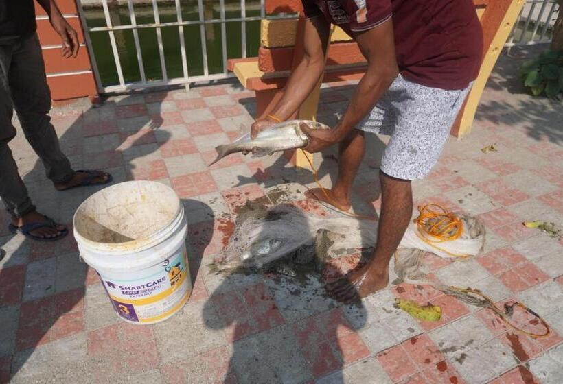 ホテル Jupiter Eco Resort