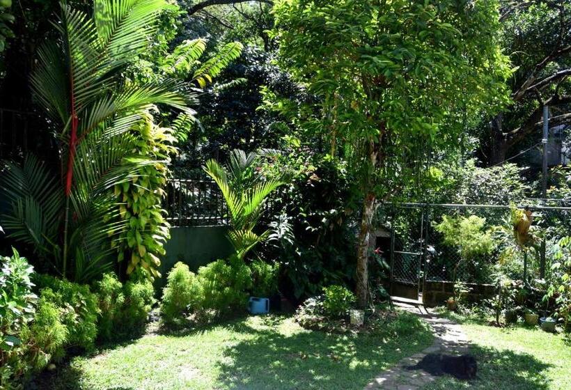 膳宿费 Cozy Homestay Kandy