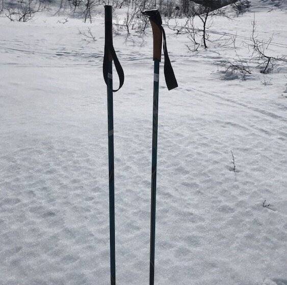 膳宿费 Kårdal Fjellstove