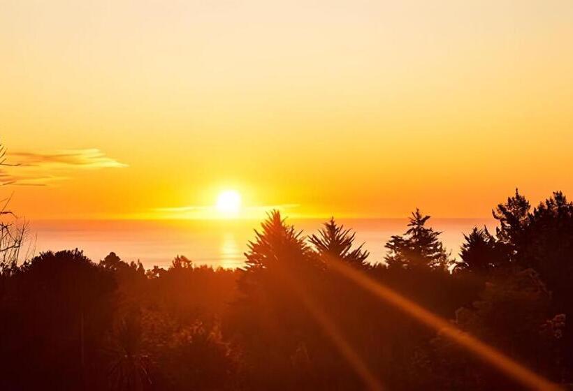 Resort Cabaña En El Campo En La Costa De Pelluhue