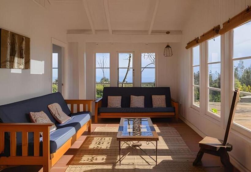 Resort Cabaña En El Campo En La Costa De Pelluhue