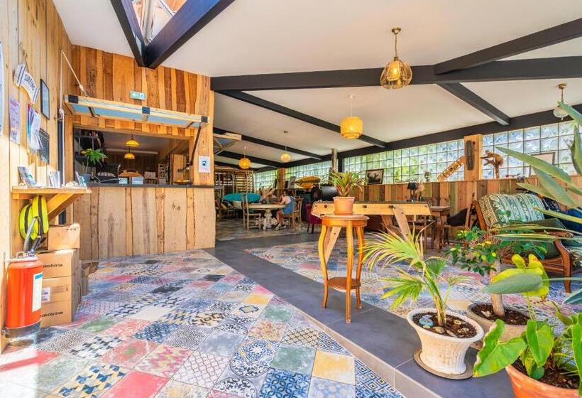 هاستل Auberge De Jeunesse Cheeky Family