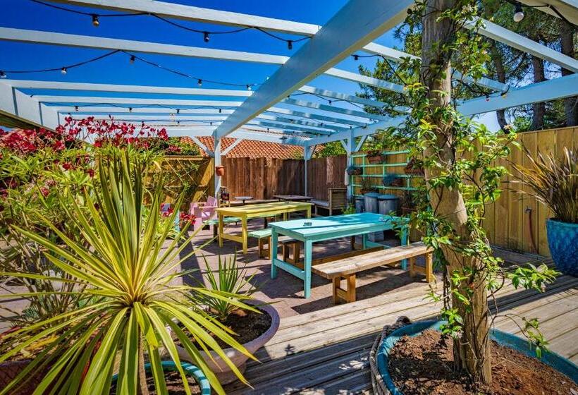 هاستل Auberge De Jeunesse Cheeky Family