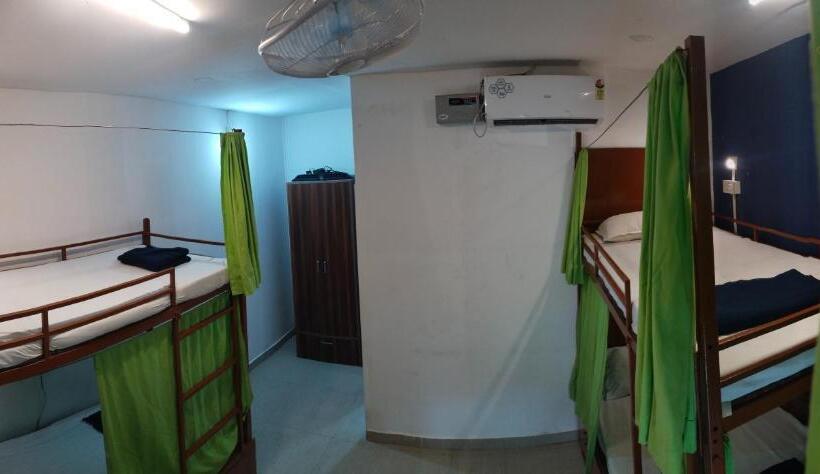 هاستل Jungle By Sturmfrei Morjim