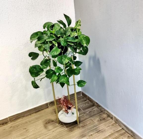 住宿加早餐  Casa Noriux En Gdl