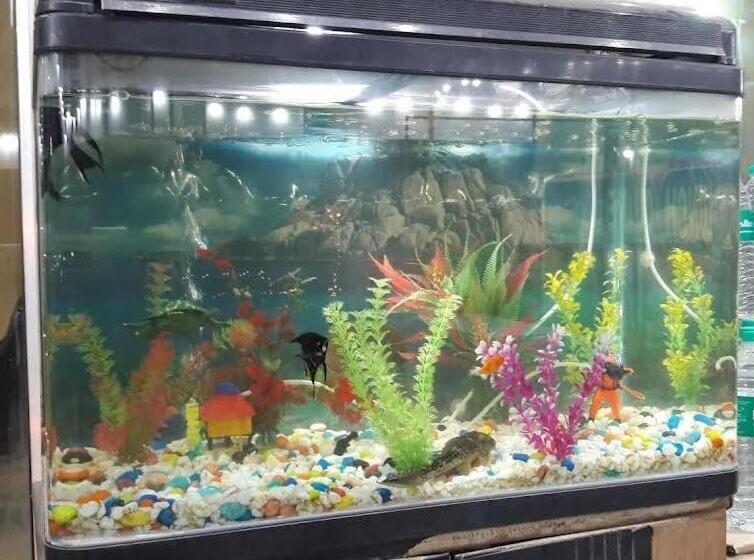 Capital O Shree Krishana Haveli Hotel And Restaurant