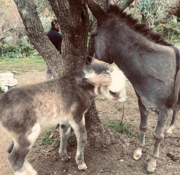 هتل Agriturismo Donnomarco