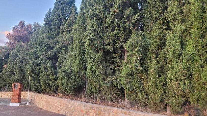 בית מלון כפרי El Mirador De San Macario