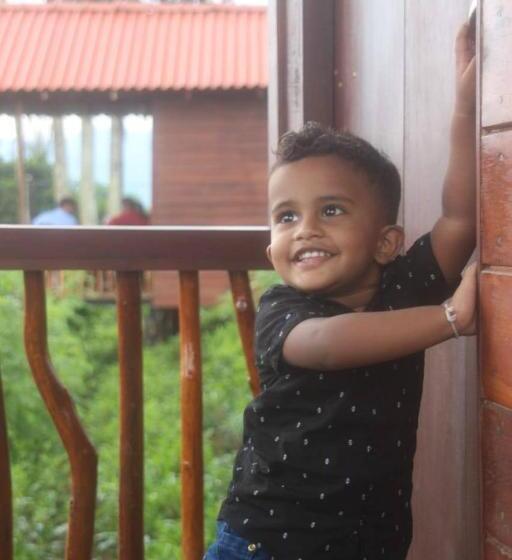 Отель Misty Mountain Deniyaya