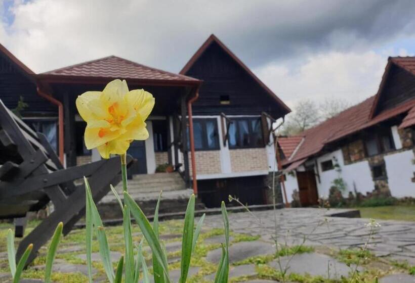 호텔 Pensiunea San Pio Sabisa