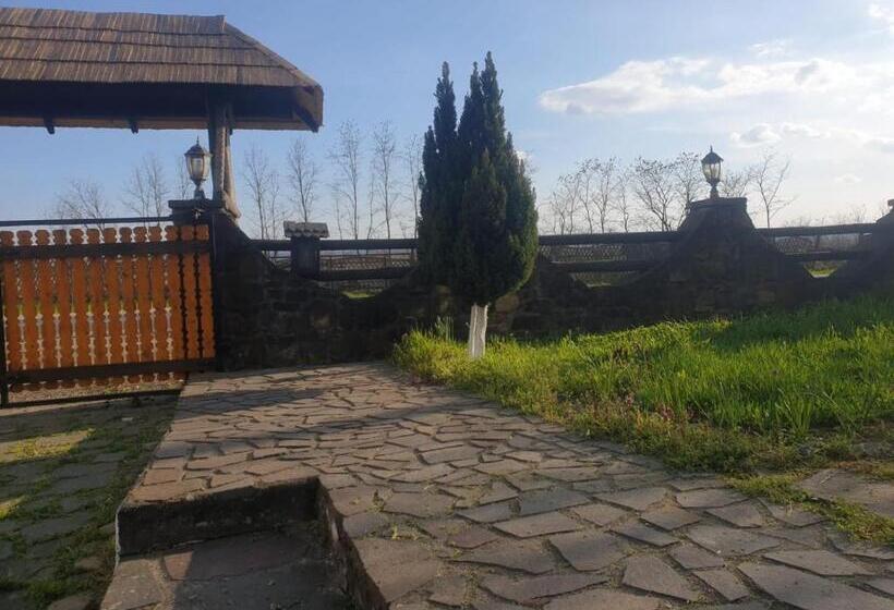 호텔 Pensiunea San Pio Sabisa