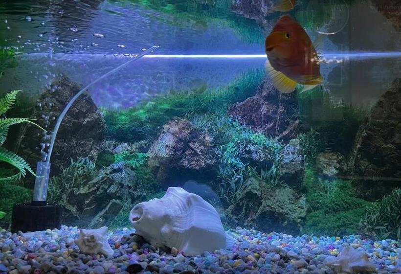 בית מלון כפרי Raj