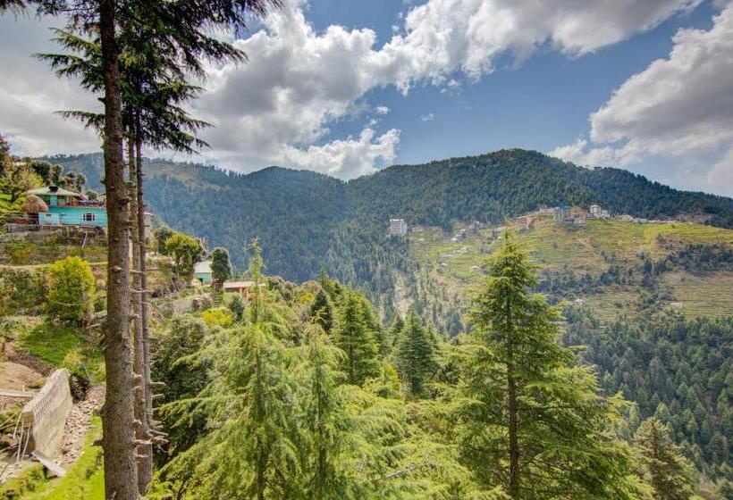 ホテル Treebo Down Town, Dalhousie