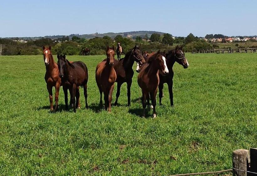 Пансион Estalagem Haras Di Cellius