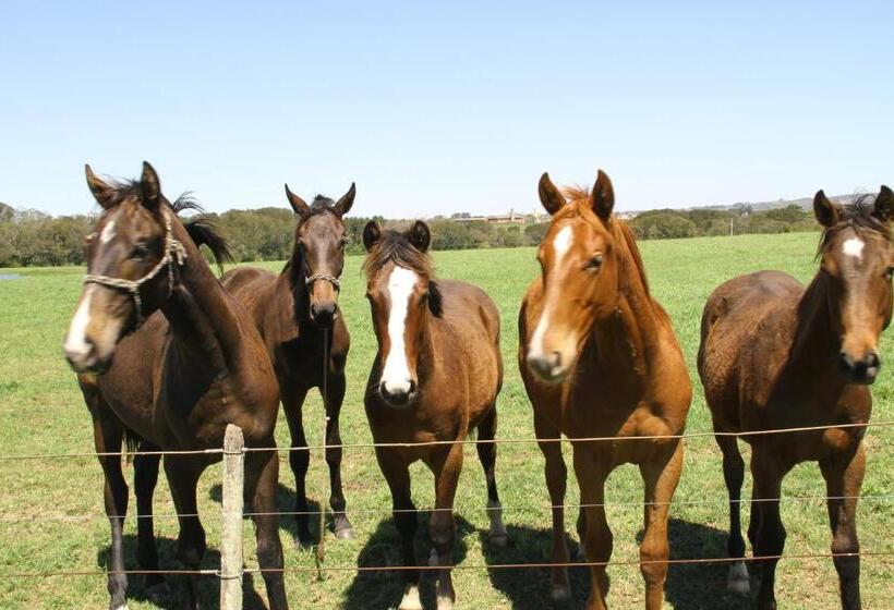 Пансион Estalagem Haras Di Cellius