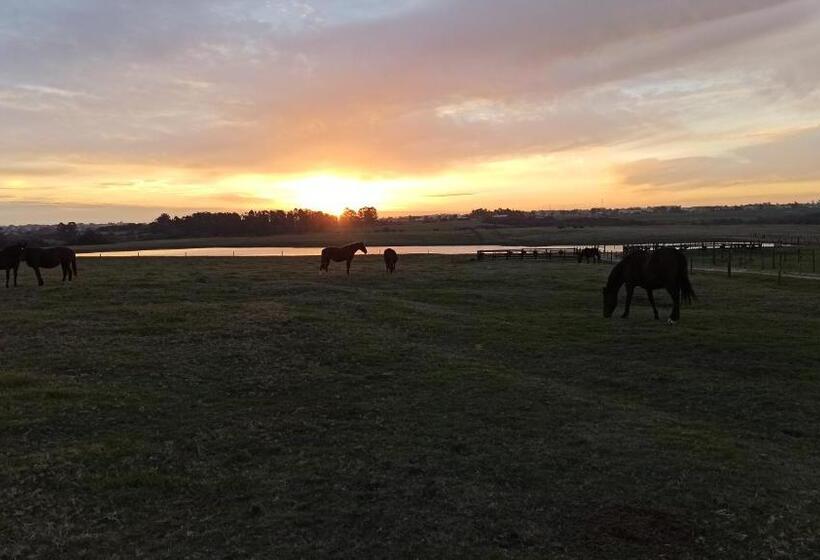 Пансион Estalagem Haras Di Cellius