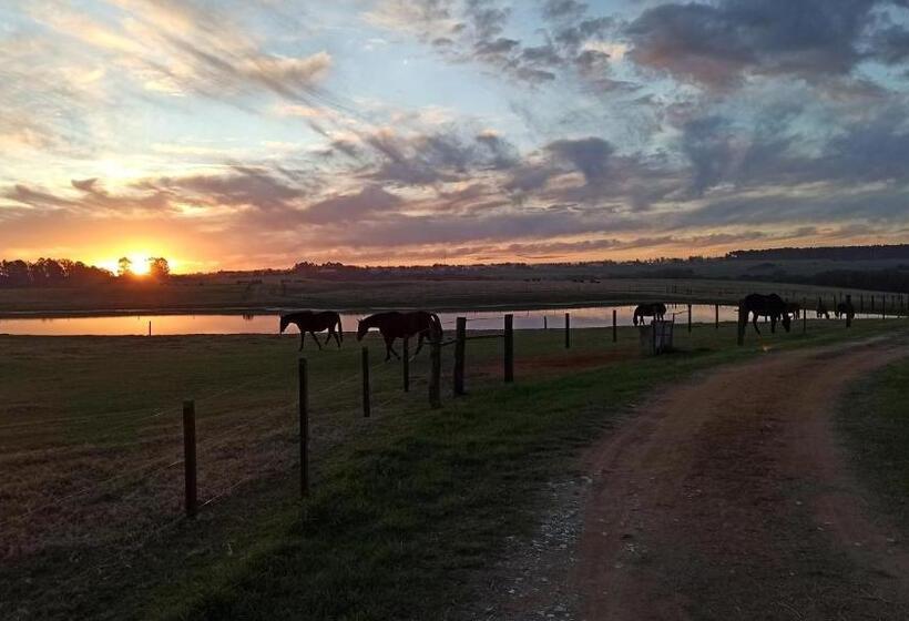 Пансион Estalagem Haras Di Cellius