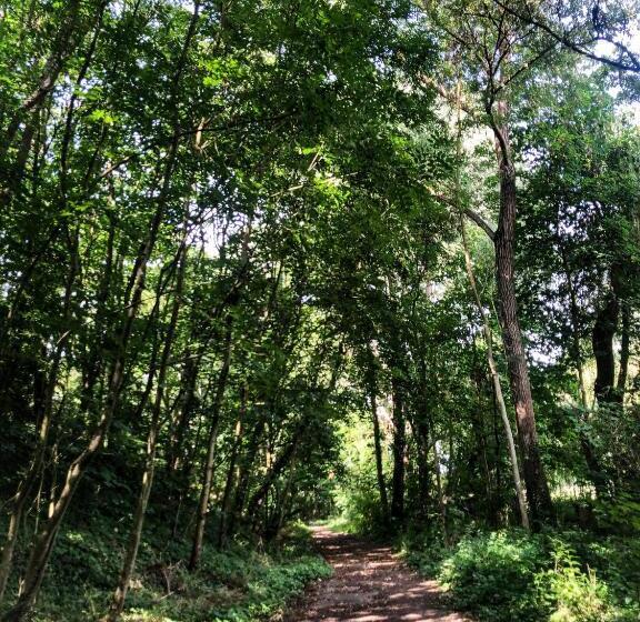 Пансион Maison D Hôtes Et Bien être Ahimsa