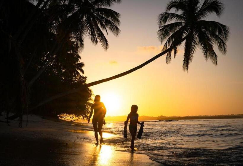 ペンション Pinang Island Private Island Sea View Bungalows