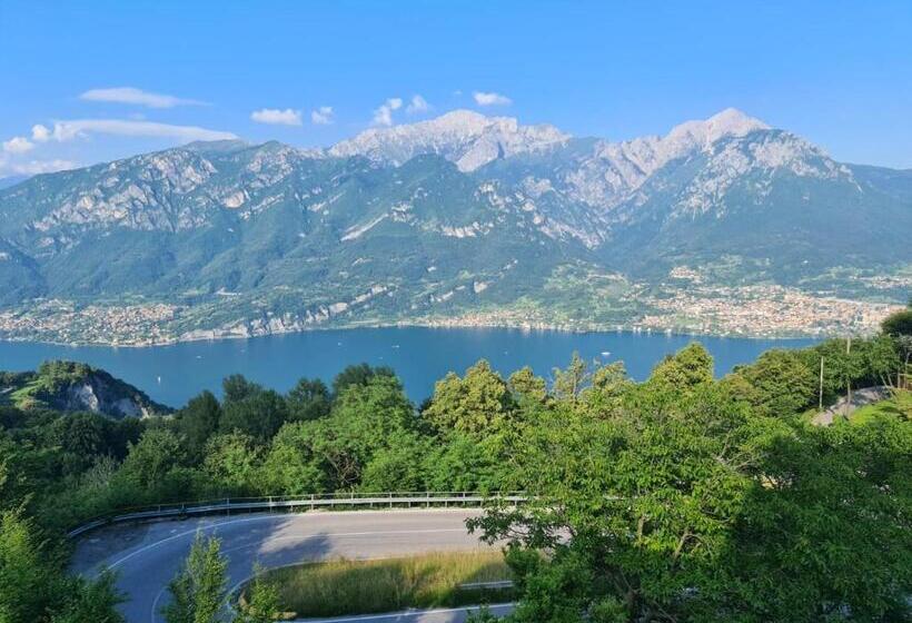 Pet Friendly Hotel Mirabeau