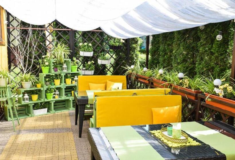 هاستل гок віват