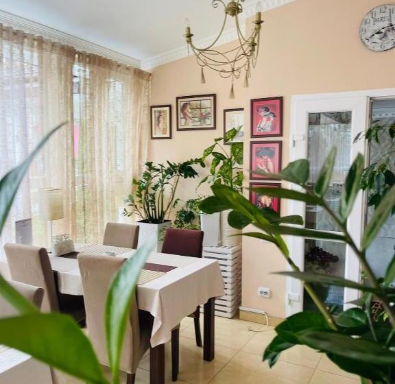 هاستل гок віват