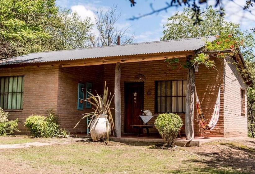 هاستل La Paloma Posada