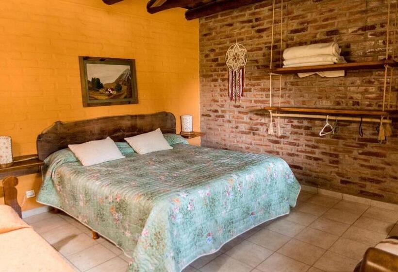 هاستل La Paloma Posada