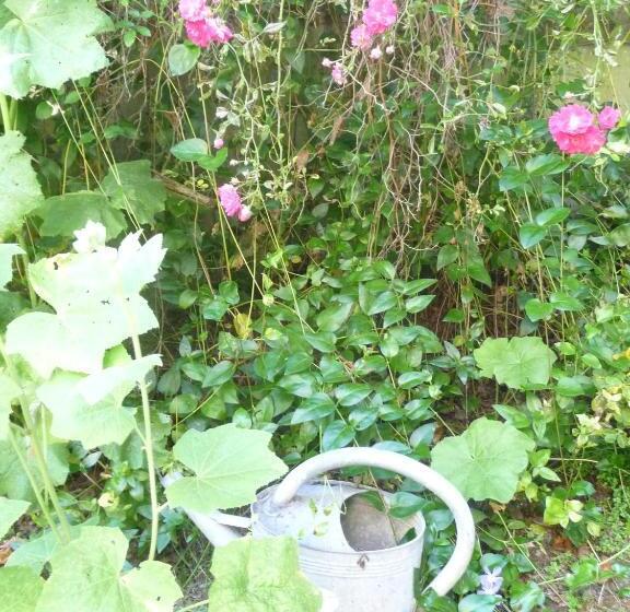 مبيت وإفطار Jardin Et Hotel Particulier