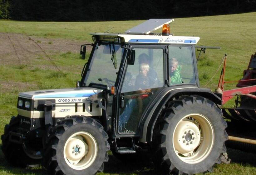 هتل Binterhof Familie Mosser