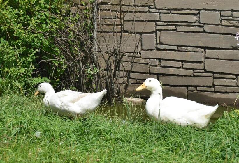 هتل Binterhof Familie Mosser