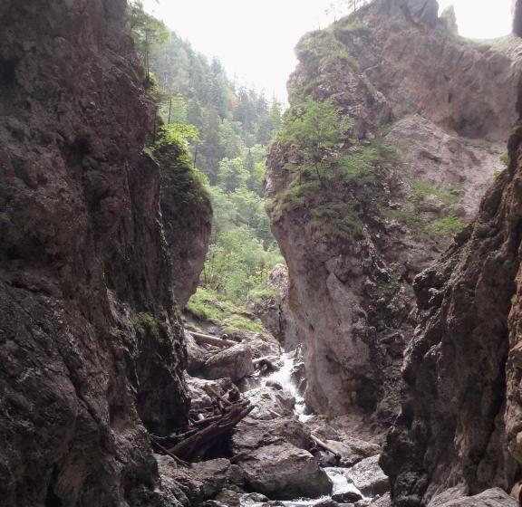 هتل Binterhof Familie Mosser