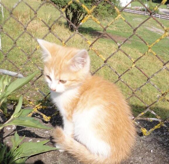 هتل Binterhof Familie Mosser