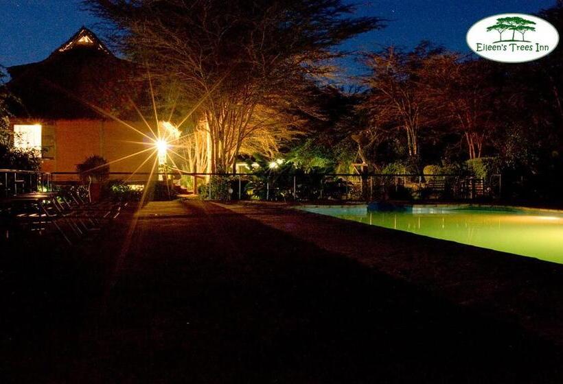 فندق Eileen S Trees Inn