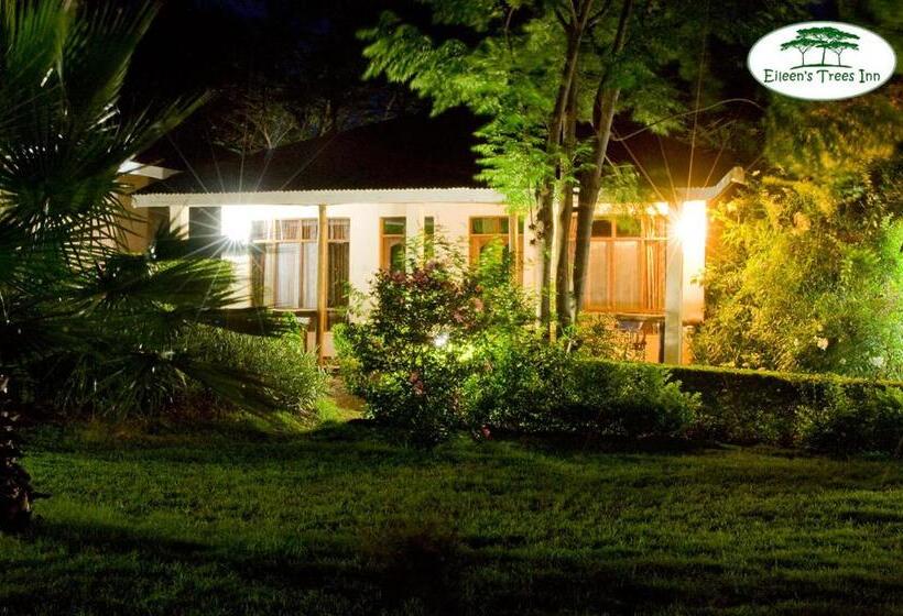 فندق Eileen S Trees Inn