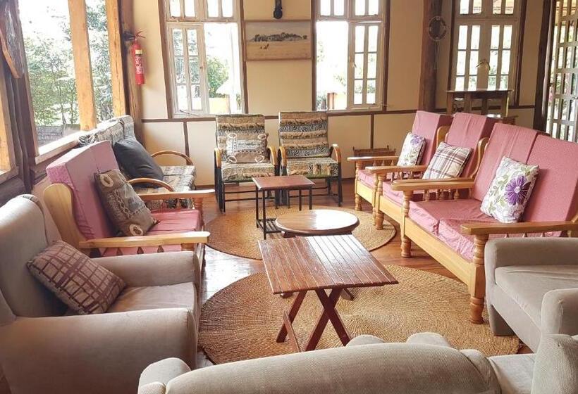 فندق Eileen S Trees Inn