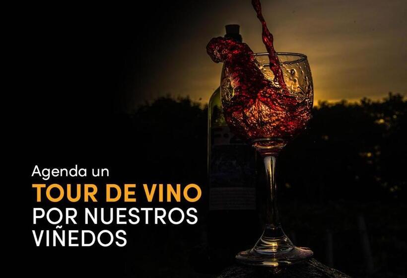 هتل Encantadora Finca Con Viñedos En Rivera Rnt 92367