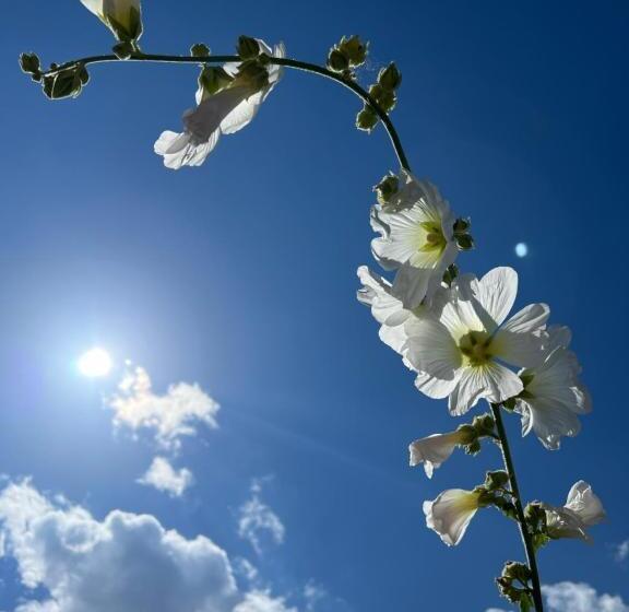 펜션 дом вдали от дома Sky Village