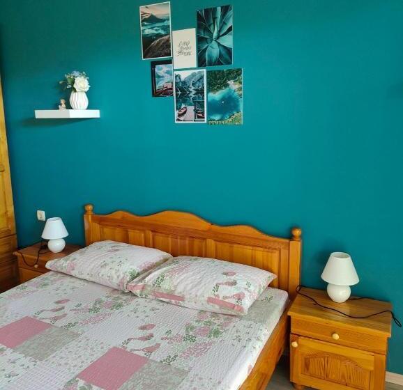 Пансион вила борко