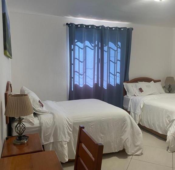 膳宿费 Casa Lolita