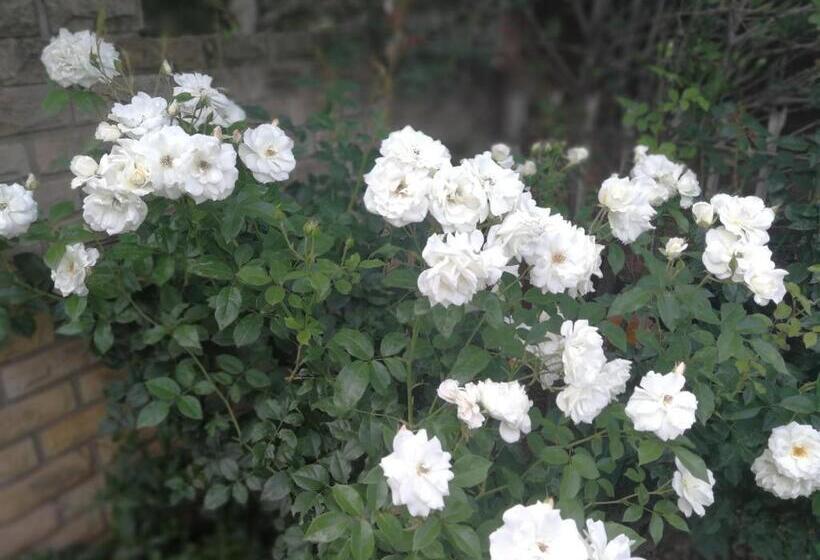 Пансион Clarens Cottages