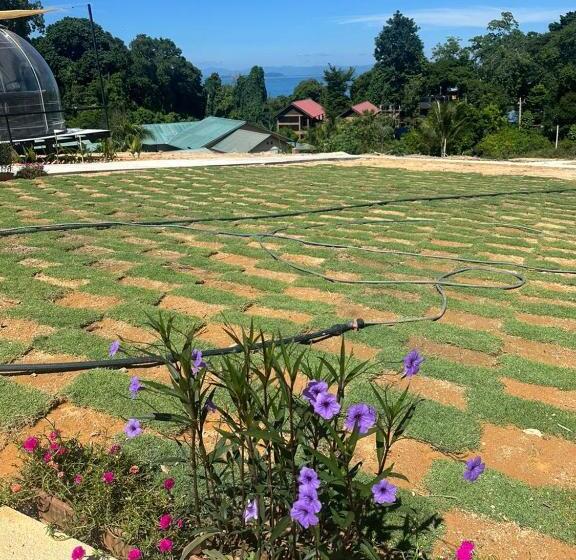 פנסיון Dnamie Glamping   Lux Tent