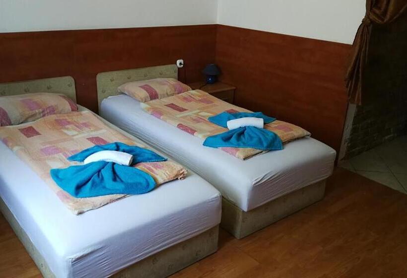 ペンション Dunakanyar Bed & Breakfast