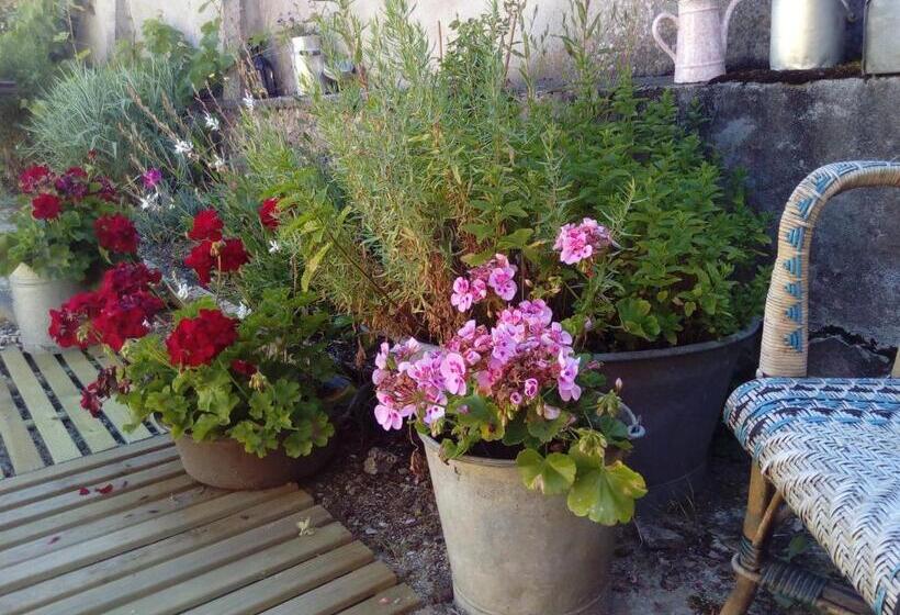 بنسيون Le Piano