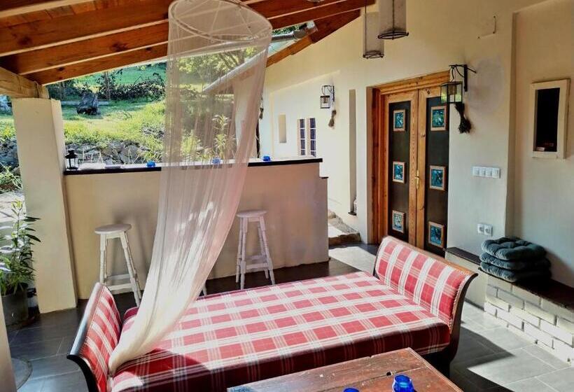 بنسيون Levendula Vendèghàz