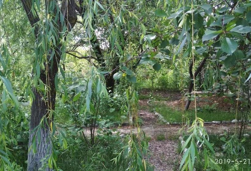 پانسیون Motel